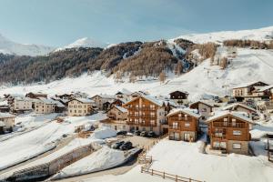 obrázek - Mountain Lodge Livigno