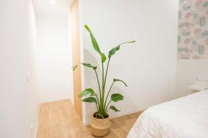 Loft Solpor do Carril 50 playa