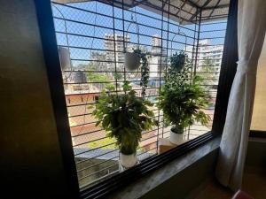 Simon Lydia 5 - A Sunlit Charm in Bandra, Pali Village by Connekt Homes