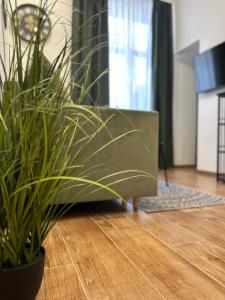 Apartament Krasińskiego