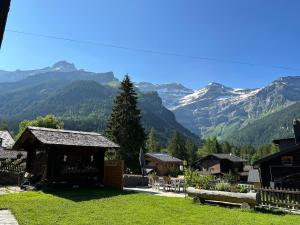 1 room apt, kitchen, patio, in beautiful chalet