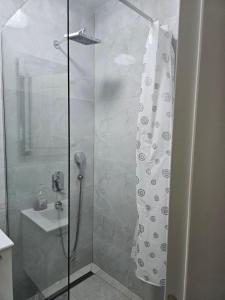 Apartment Dziman