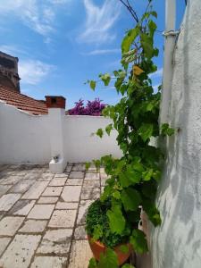 Rooftop Apartment - Near the historic center