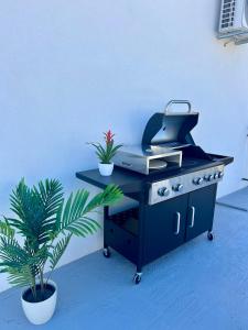 Stunning apartment Josipa