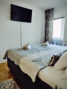 Apartman Selska