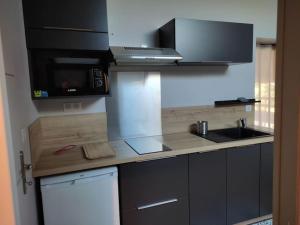 Appartements Appartement Le Saint Maur : photos des chambres