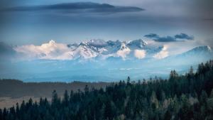 ORAWSKA CHATA - domek z balią pod Babią Górą