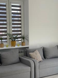 Nikifor Apartamenty Krynica-Zdrój