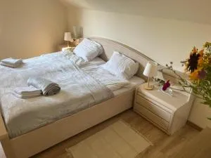 Różany Dom w Dominikowie - Korytowo