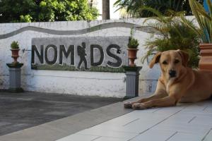 Nomads Hostel Multicultural & Coworking