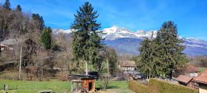 Appartements Appartement 1 chambre idealement situe : photos des chambres