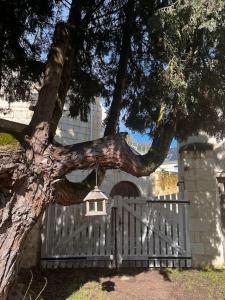 Maisons de vacances Le Relais de l'Artiste : photos des chambres
