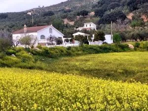 Aires de Gibalto - Alfarnate