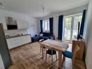 Uroczy apartament blisko jeziora - Przyjezierze