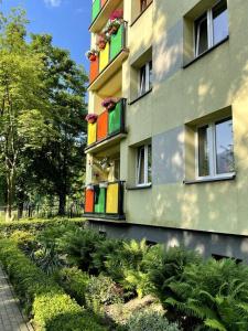 Sunny Apartment in Silesia