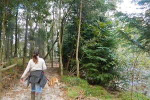 Quinta Lamosa Agroturismo