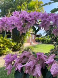 Eden Créole - 3hvězdičkové hotely ve městě Trois-Rivieres