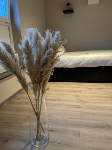 Modernes Studio am Dreiländereck