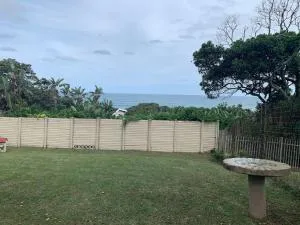 Strandjakkals - Glenmore Beach