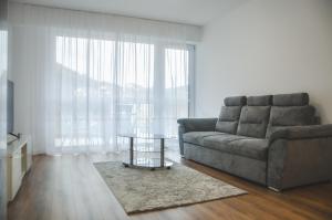 SILVER APARTMENT Sinaia