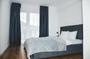 SILVER APARTMENT Sinaia