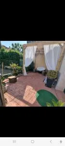 La coccinella - Borsecchio