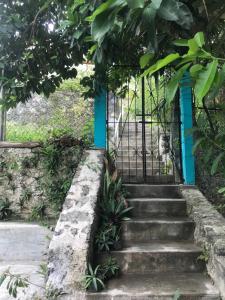 Casa Abeii. Lugar mágico frente a la laguna