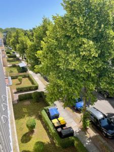 Ruhige Maisonettewohnung auf dem Kaßberg