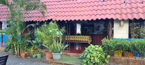 Congos Hostal y Camping