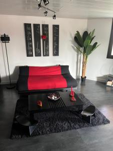 Comme dans un écrin - T2 de 50 m² avec jardin, terrasse et piscine