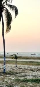 Luna Nueva Casa de Huéspedes