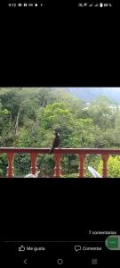 Hotel y Hostal Mi Reino Represa Prado Tolima