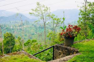 Ella Mountain Palace