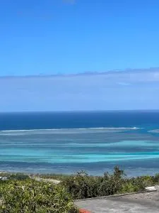 Ô Bercail du Sud-Hibiscus chez Jeannette - Tambe