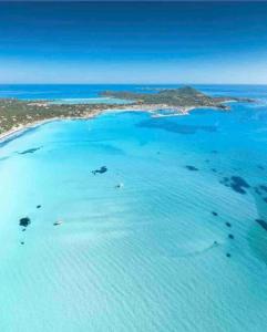 100mt from Campulongu beach with sea view img15