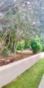 100mt from Campulongu beach with sea view img53