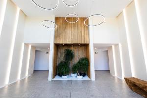 ELINOR Apartments - B25 - 4hvězdičkové hotely ve městě Sveti Konstantin i Elena