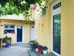 Summer Vibe - Apartament la curte