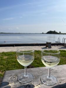 Luxe en ruim chalet met airco bij Leekstermeer