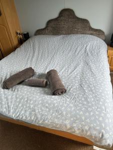 The Topaz Caravan HF12