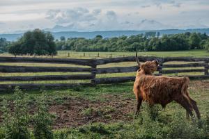 RANČ Podlesok Relax