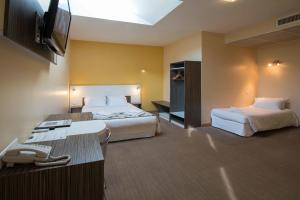 Hotels La Saleine : photos des chambres