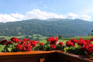 Appartement Ferienwohnung Stock Rinn Österreich