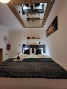 Adriatic SPA Apartment