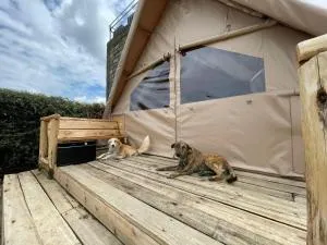 A-Frame Tent in Naivasha - Elwai Visitor Centre - Kijabe