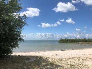 12P 8B Spacious villa near IJsselmeer and forest