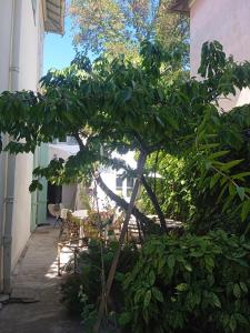 Villas Bastide provencale : photos des chambres