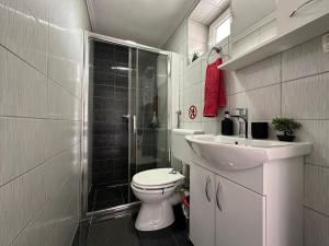 Superior Apartment room in Villa Zigana