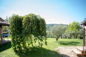 Il Salino Country House