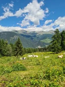 La casa di Ninis a Marilleva 1400 - Pellizzano